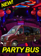 Party Bus